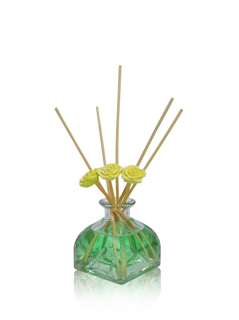 JOY 120ml - Limone e Menta